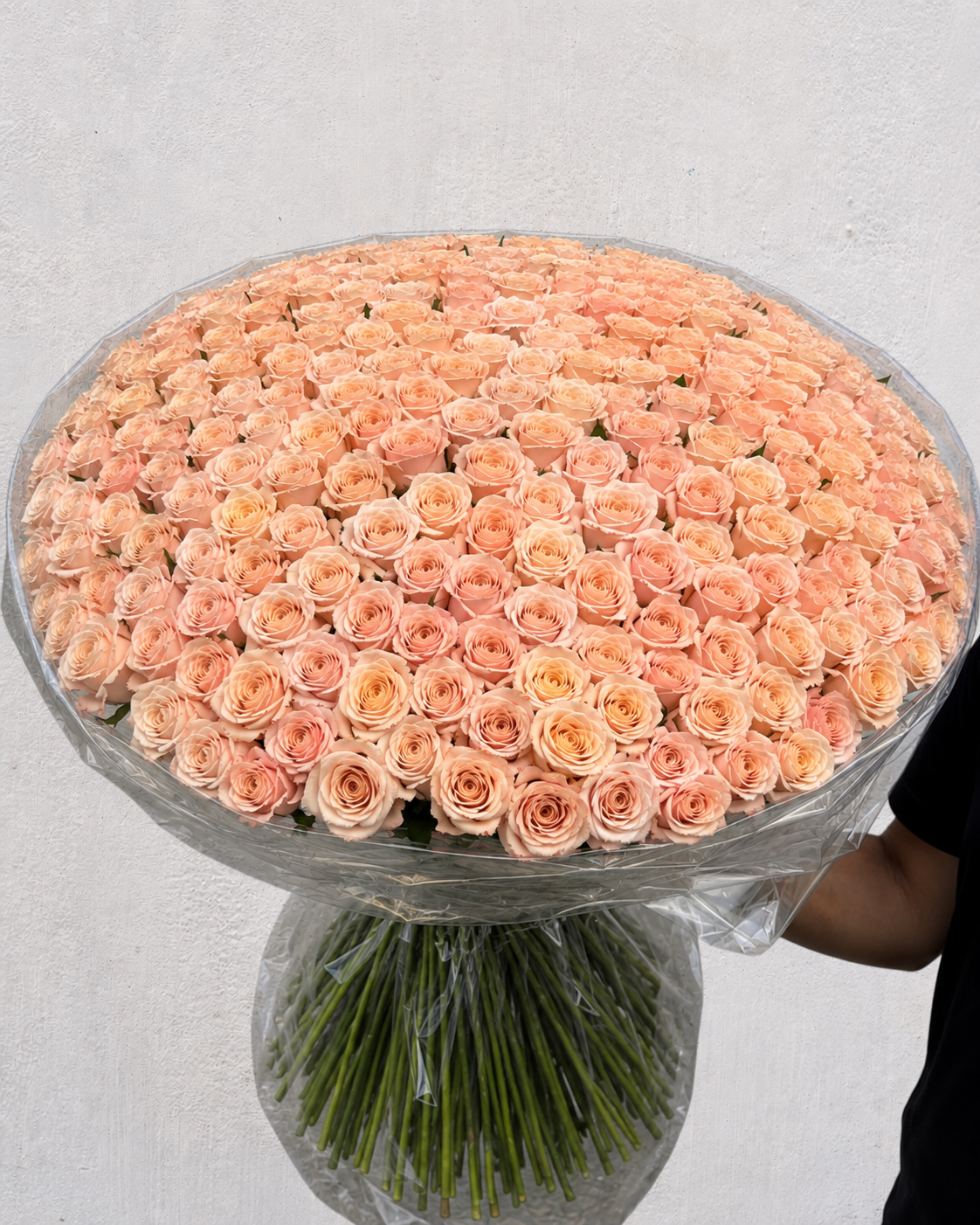 Peach Champagne