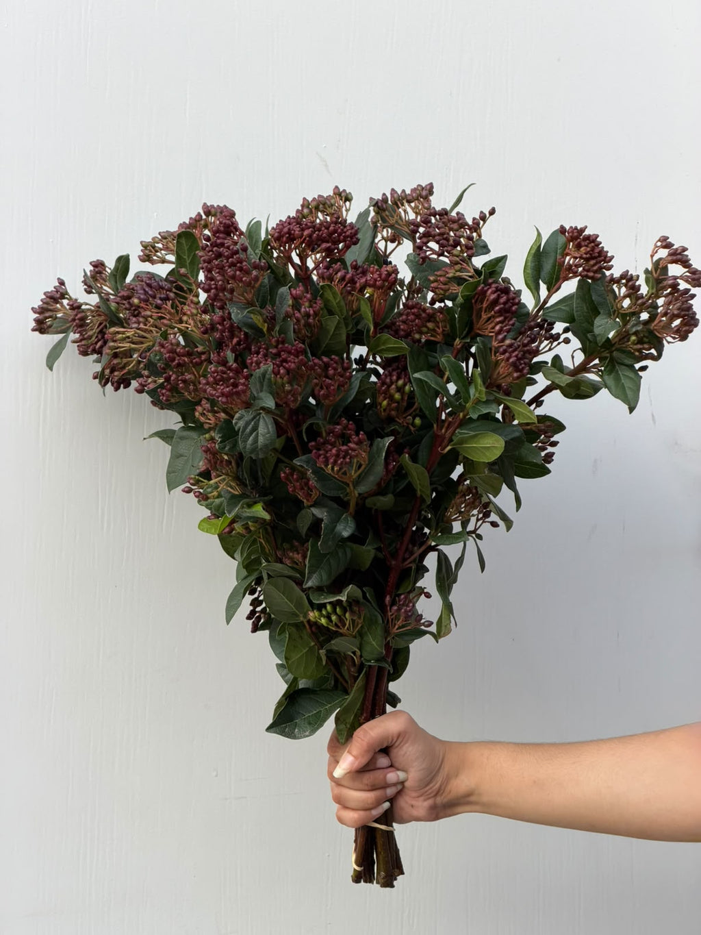 Berrywood – deep berry foliage bunch