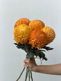 Marigold Sun – warm orange chrysanthemum bunch