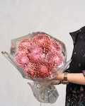 Pink Copper