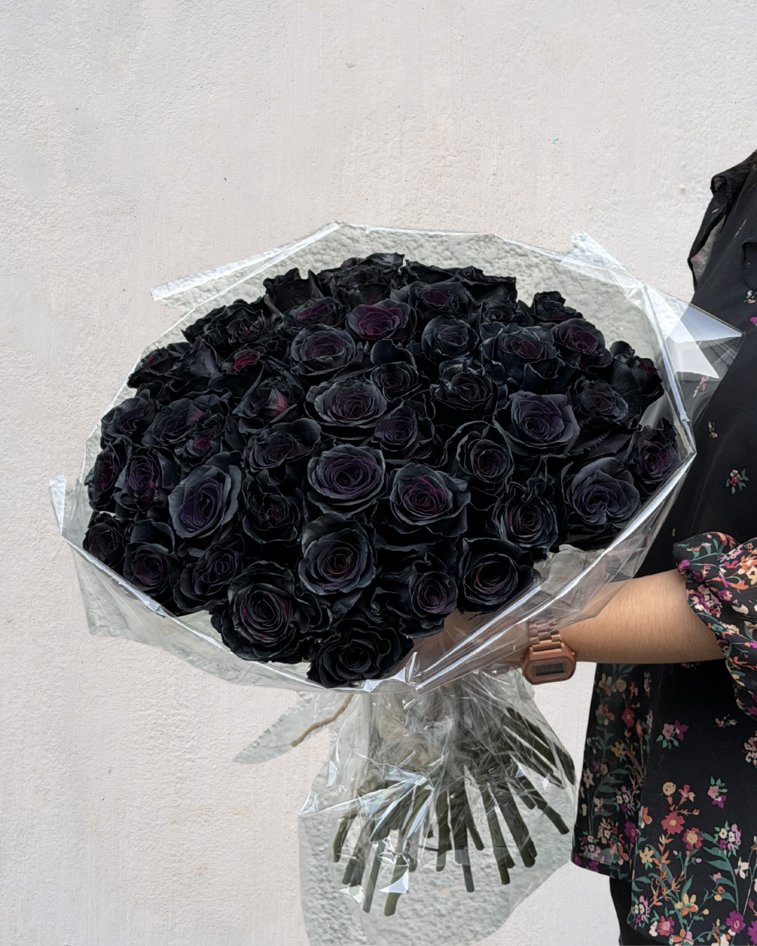 Midnight Eclipse Rose