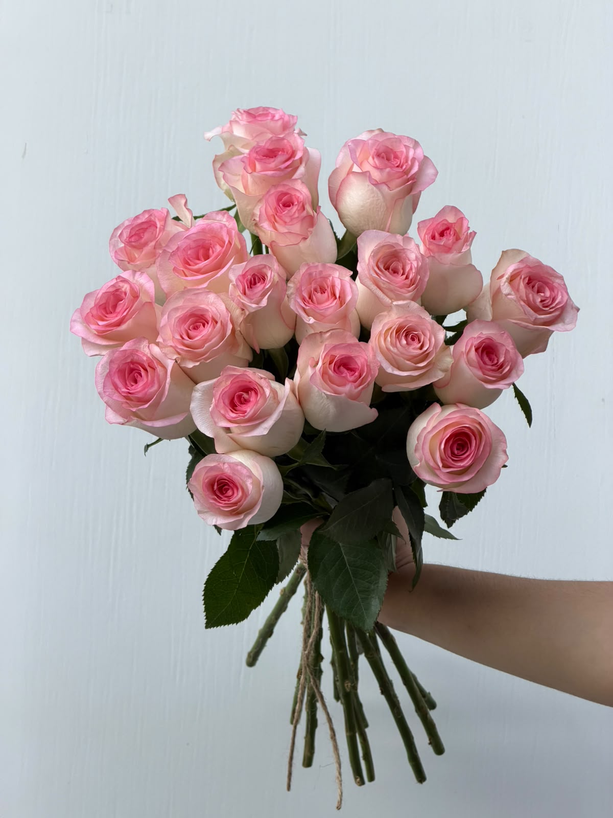 Pink Rose Whisper – soft pink roses with colour variation