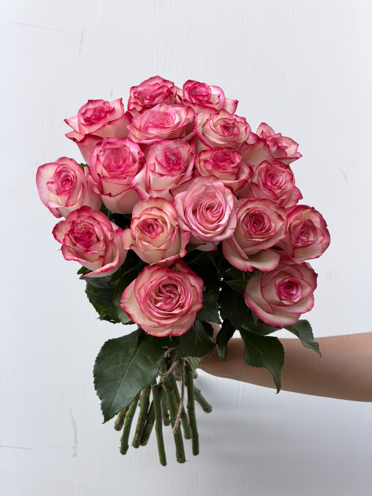 Rosy Promise – full deep pink rose bunch