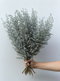 Silver Meadow – fine silver toned foliage bunch
