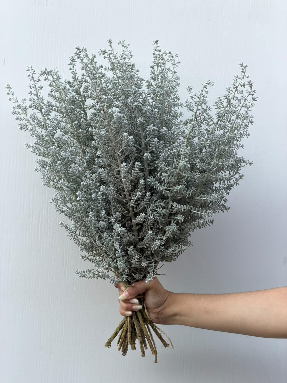 Silver Meadow – fine silver toned foliage bunch