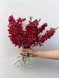 Crimson Orchid – deep red Dendrobium orchid stems