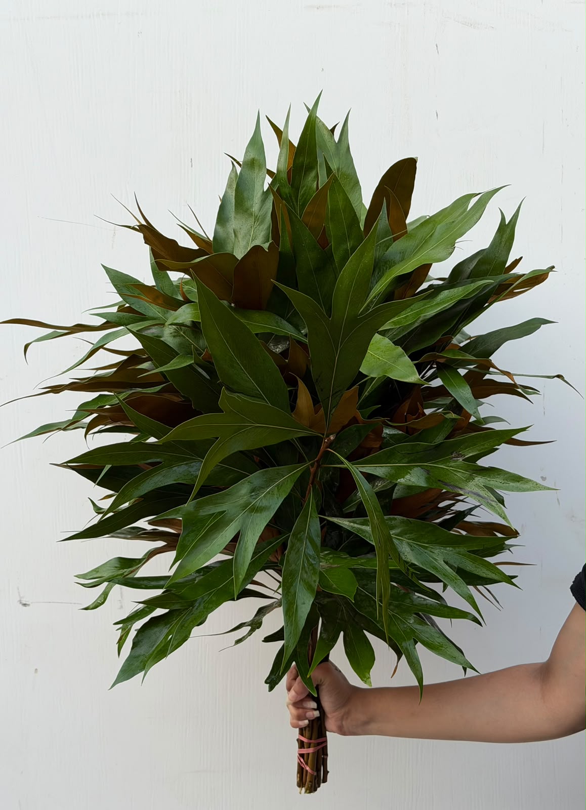 Woodland Crown – layered green and bronze foliage bunch