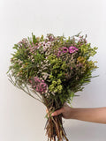 Meadow Confetti – wild mix of tiny blooms and greenery