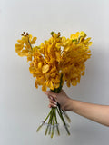 Golden Orchid Glow – yellow Mokara orchid bunch