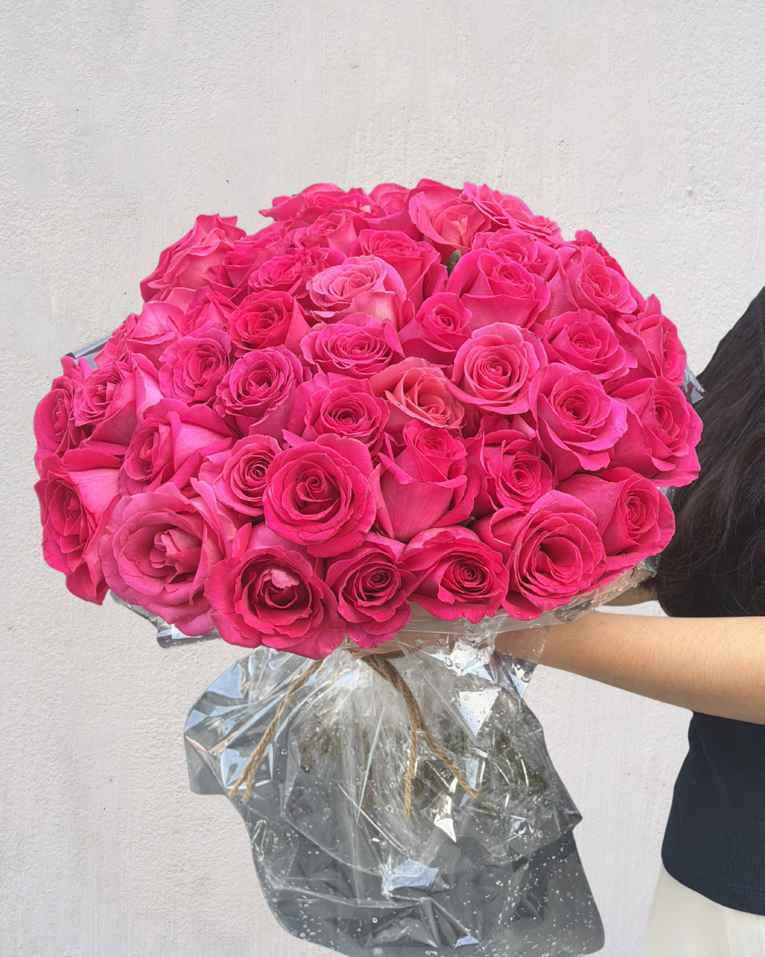 MAJESTIC ROSE