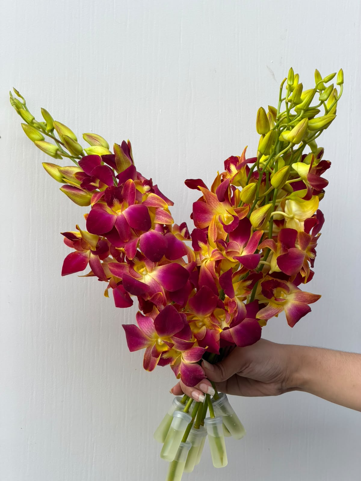 Carnival Orchid – two-toned yellow and magenta orchid bouquet