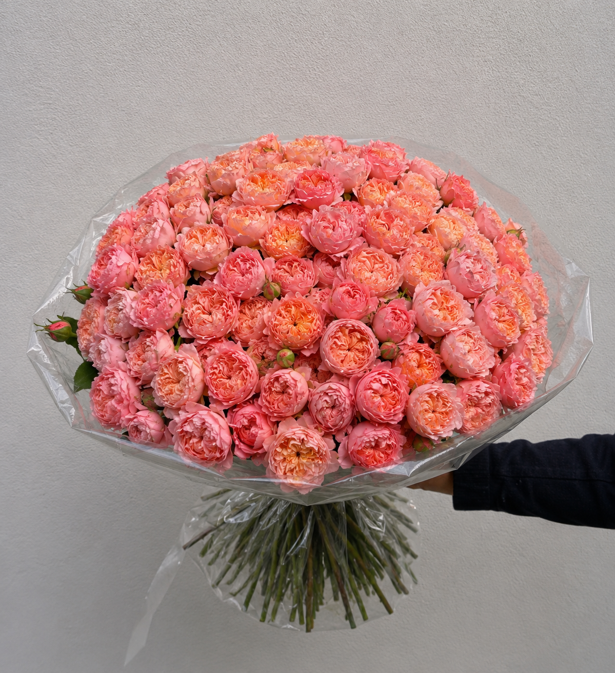Petal Cloud