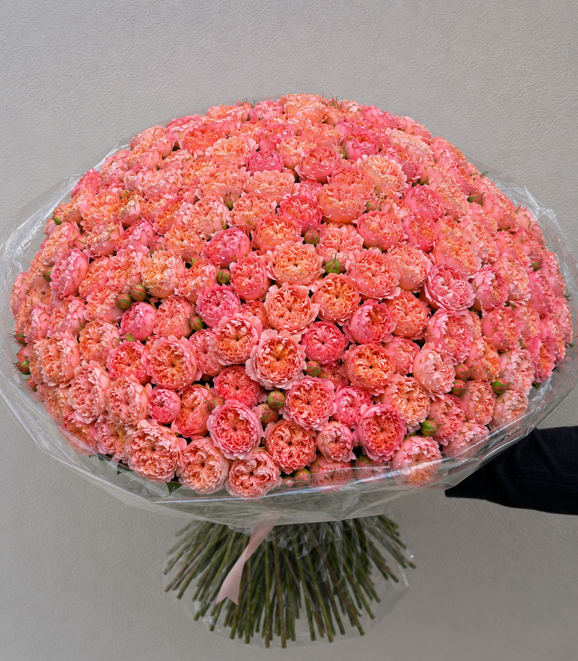 Petal Cloud