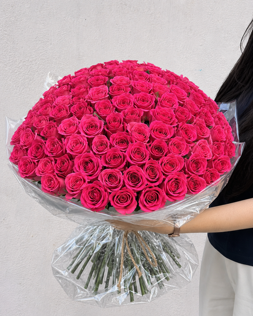 MAJESTIC ROSE