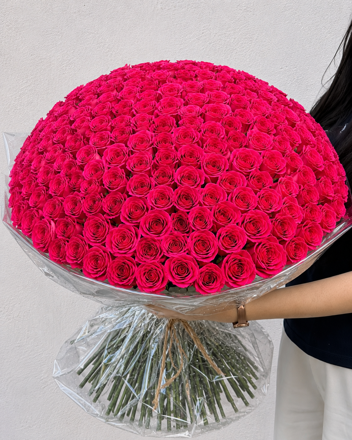 MAJESTIC ROSE